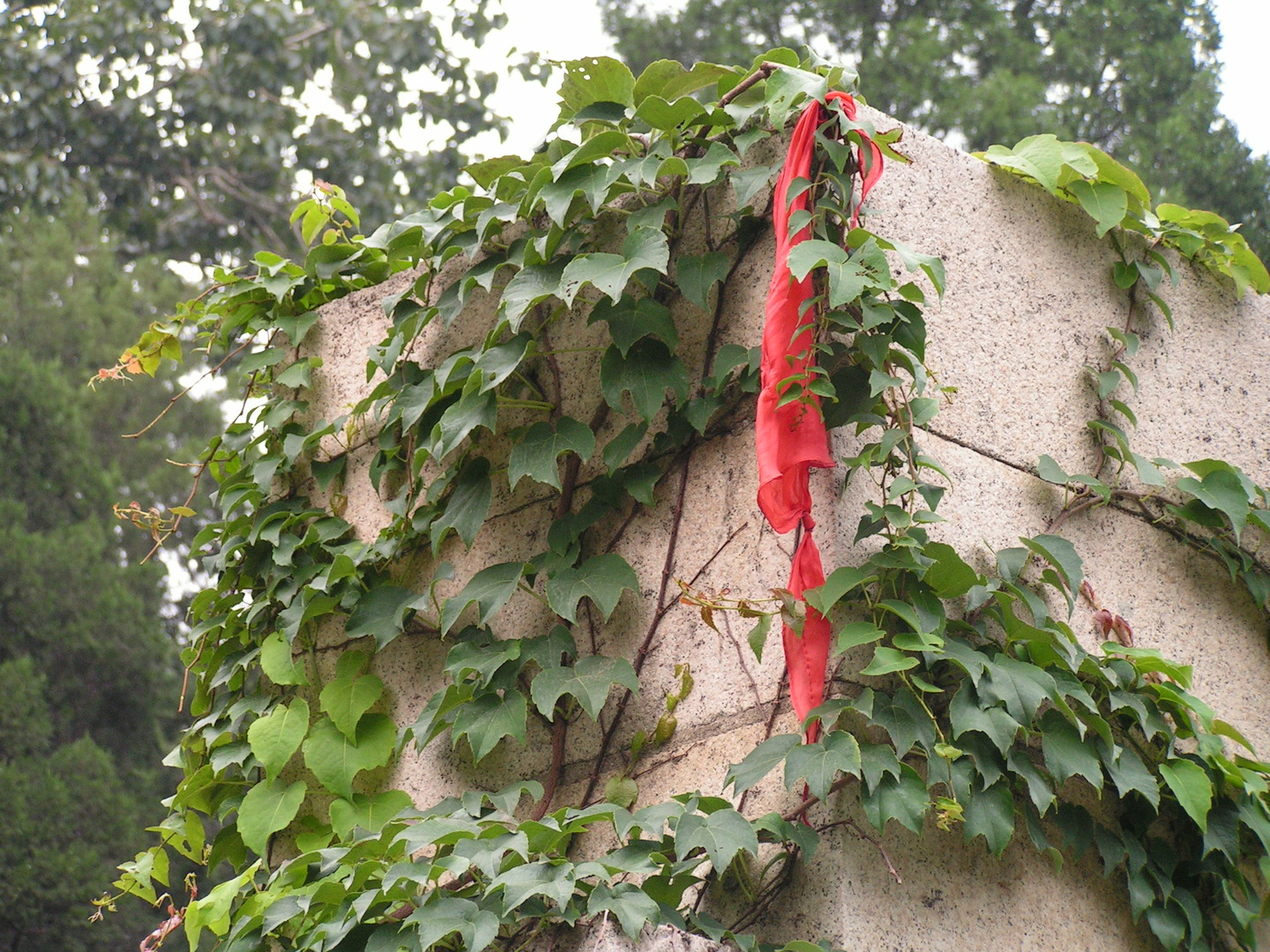 Beijing_20060803_095.jpg
